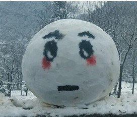 何其壮观巨无霸雪人表情包子屹立风中