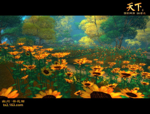 葵花田
