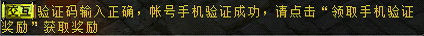˫