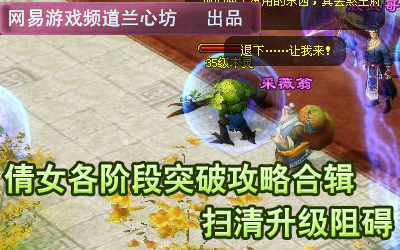 兰心坊：各阶段突破任务攻略合辑 扫清升级阻碍