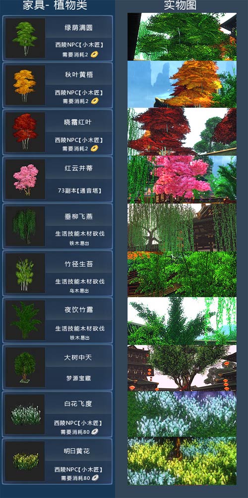 家具植物类