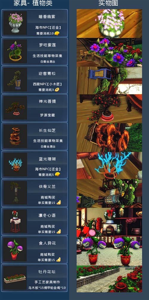家具植物类（2）