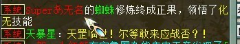 ������ھ���������