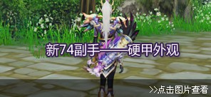 全新74副手外观展示