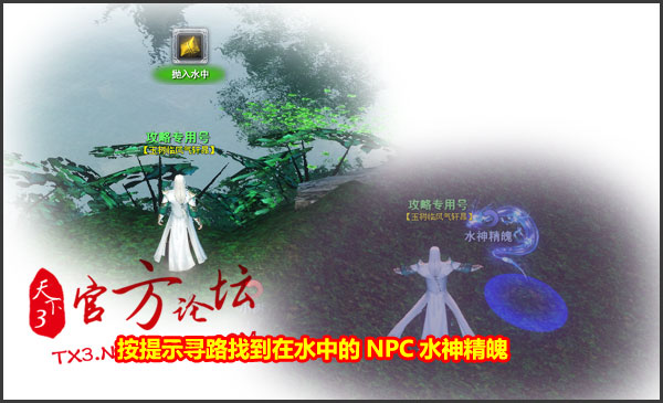 端午金粽