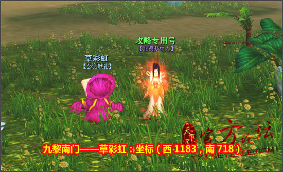 草彩虹公测献礼