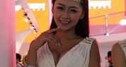 ������Ϸshowgirl�ϼ�
