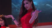 ����showgirl���Ⱥϼ�