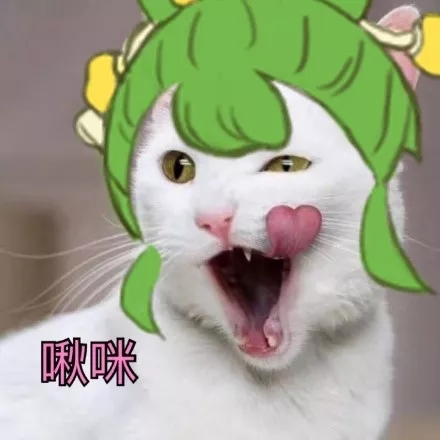 4.webp