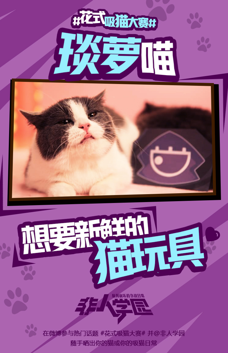 图3：学园萌猫齐齐出阵 琰萝喵