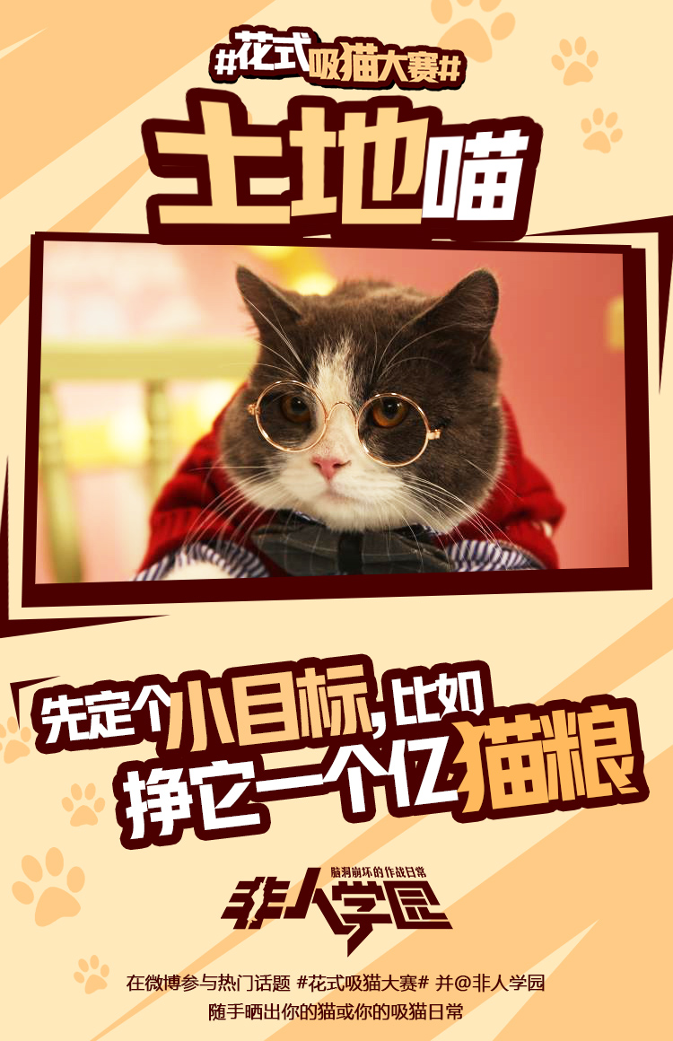 图4：学园萌猫齐齐出阵 土地喵