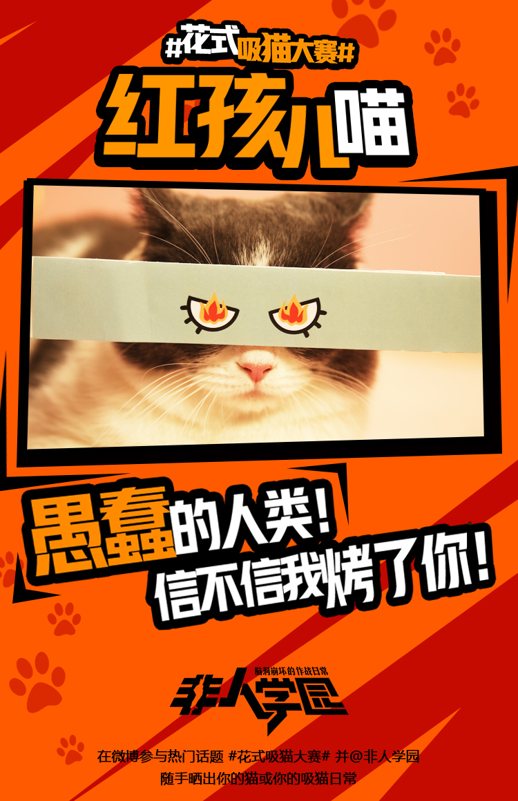 图1：学园萌猫齐齐出阵 红孩儿喵