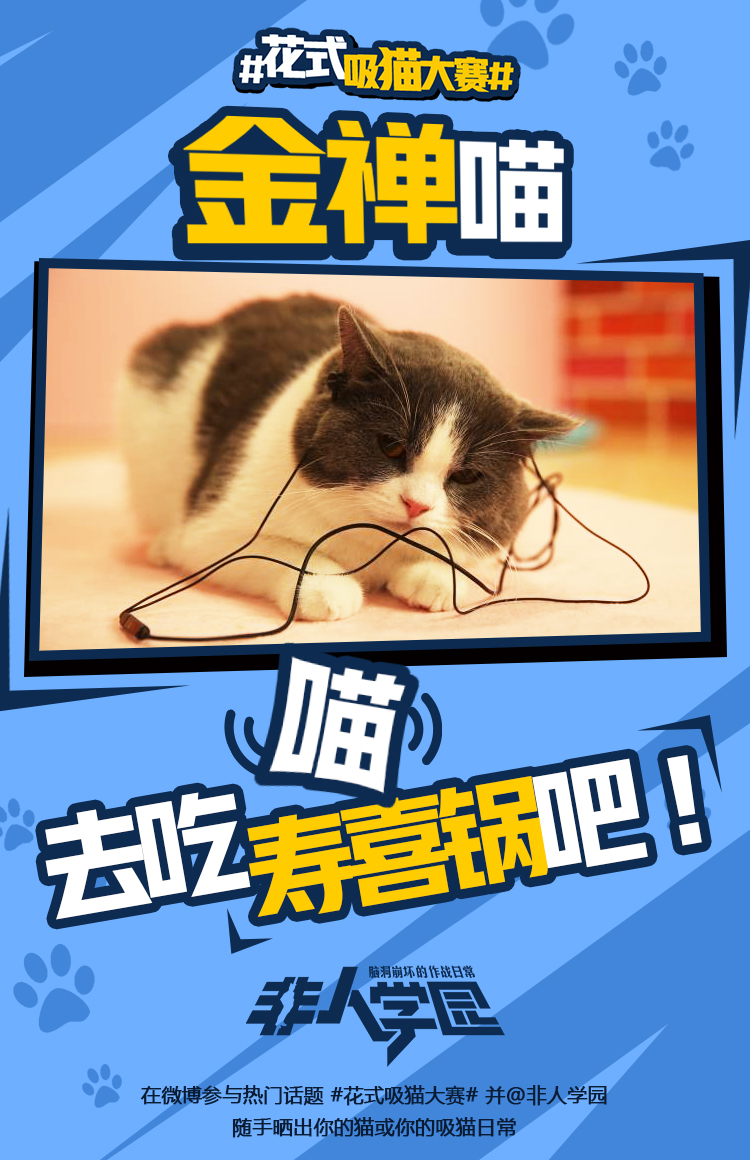 图5：学园萌猫齐齐出阵 金禅喵