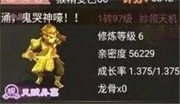 һֻﾫռʲô飿