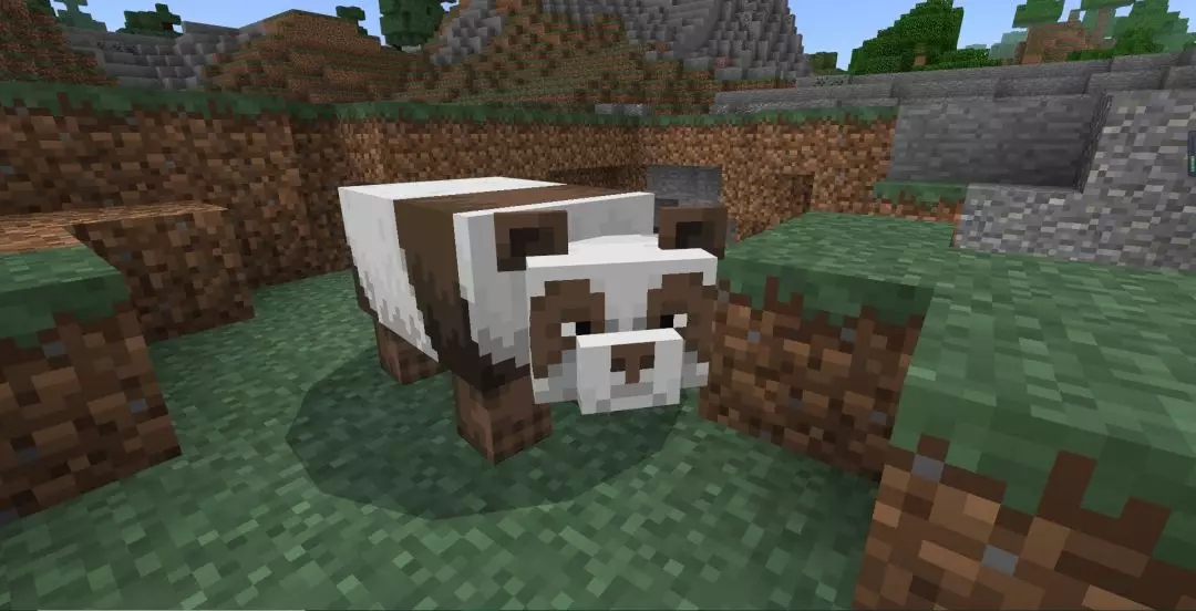 大熊猫正式上线 这个颜色的熊猫竟然还无人遇见 我的世界minecraft中国版官方网站 你想玩的 这里都有