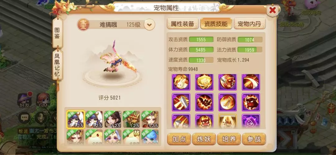 13X9ھ