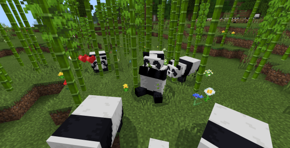 我的世界 关于熊猫不为人知的小秘密不仅能吃竹子还爱吃钻石 我的世界minecraft中国版官方网站 你想玩的 这里都有