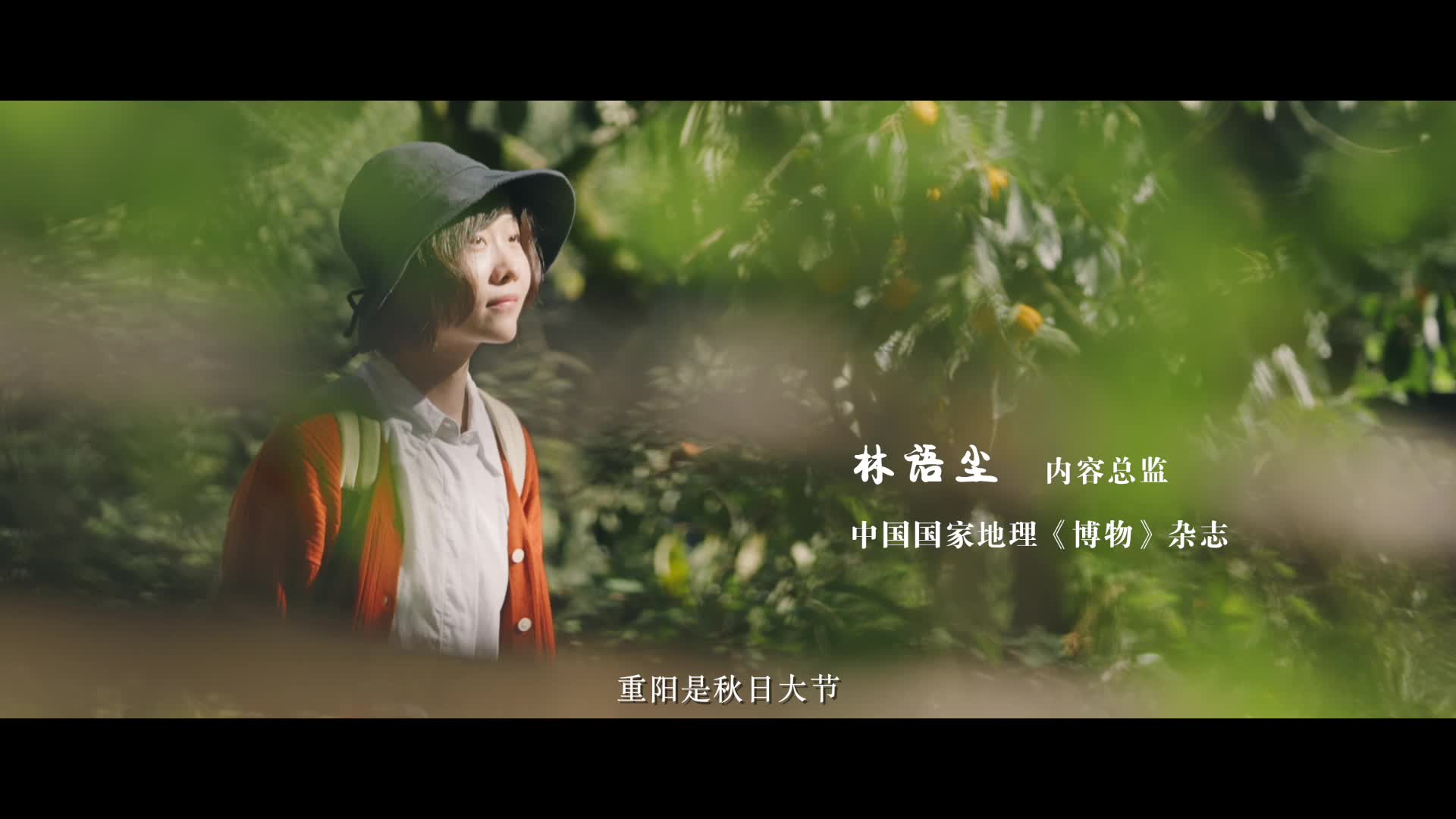 大话西游2免费版官方网站中国第一免费回合制