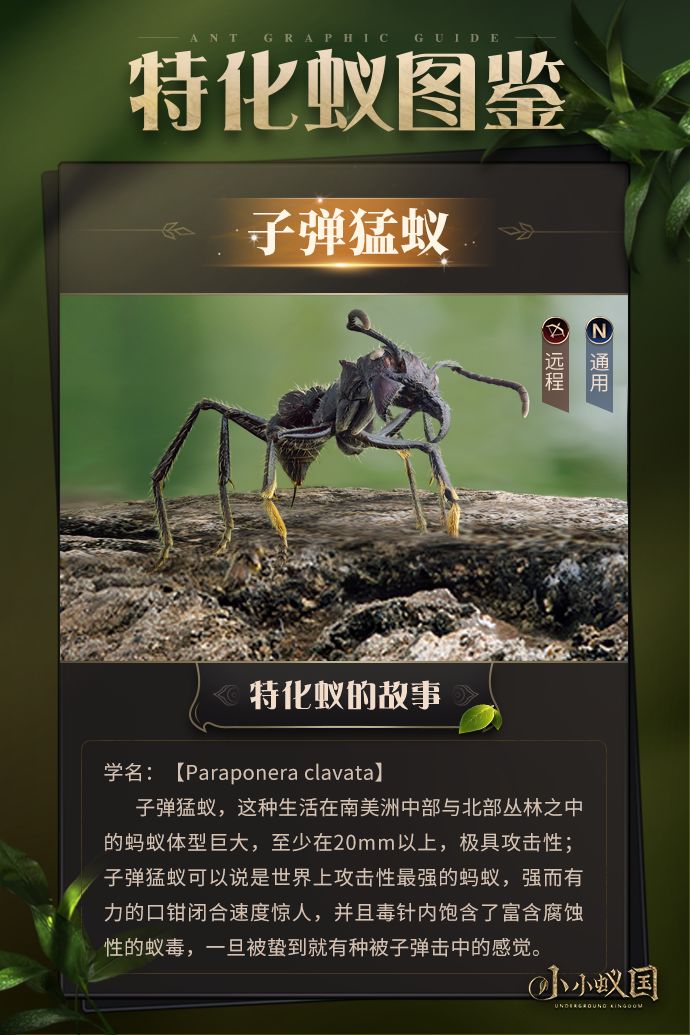 《小小蚁国》电脑版蚂蚁图鉴-子弹蚁