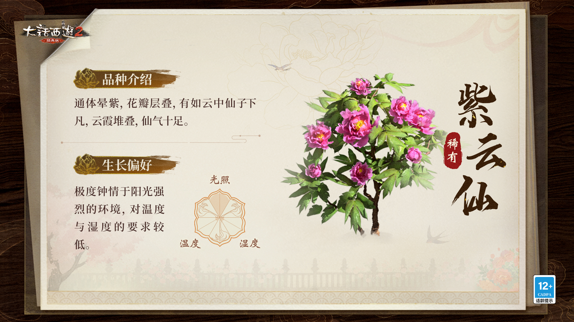 ϡ��-������