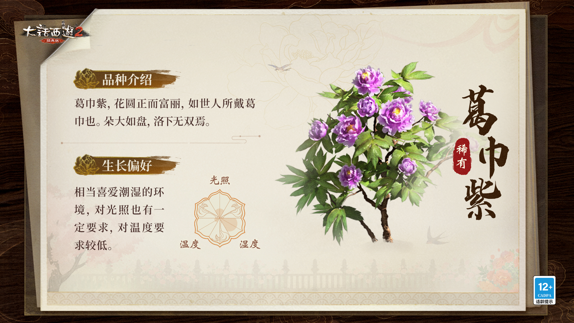 ϡ��-�����