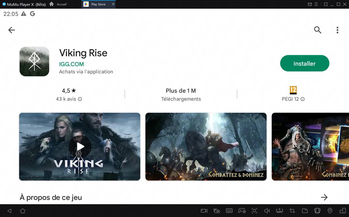 télécharger Viking Rise sur PC