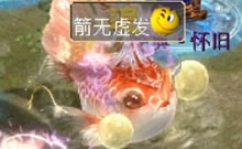 �����书Ψ�첻�ƣ������ý���
