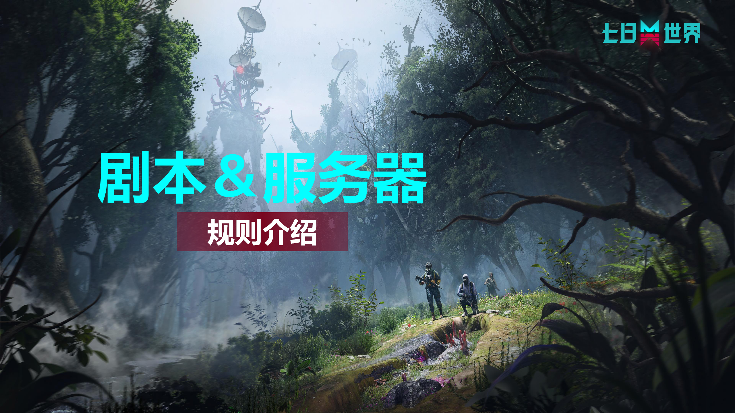 剧本与服务器-规则介绍
