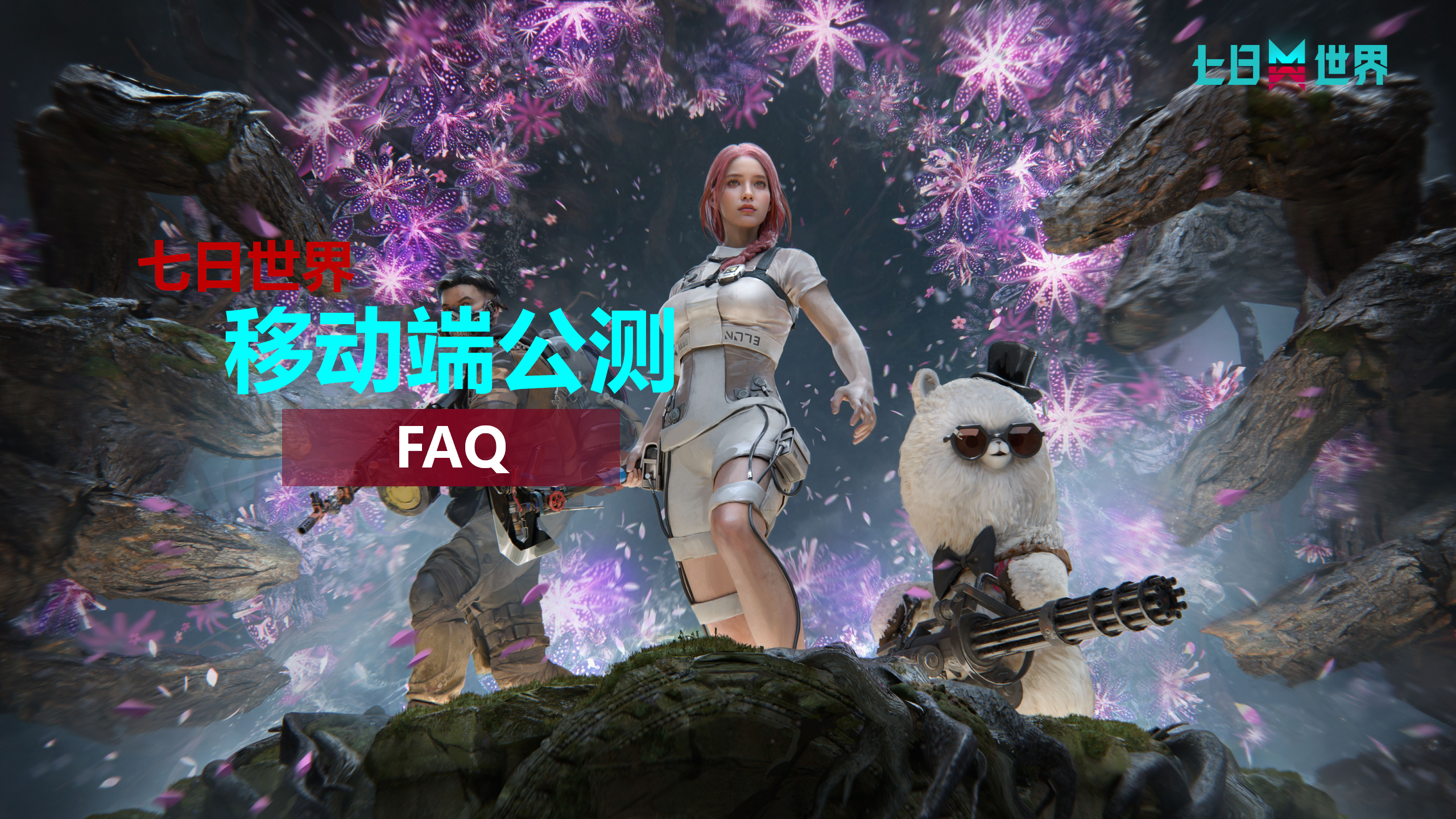 移动端FAQ