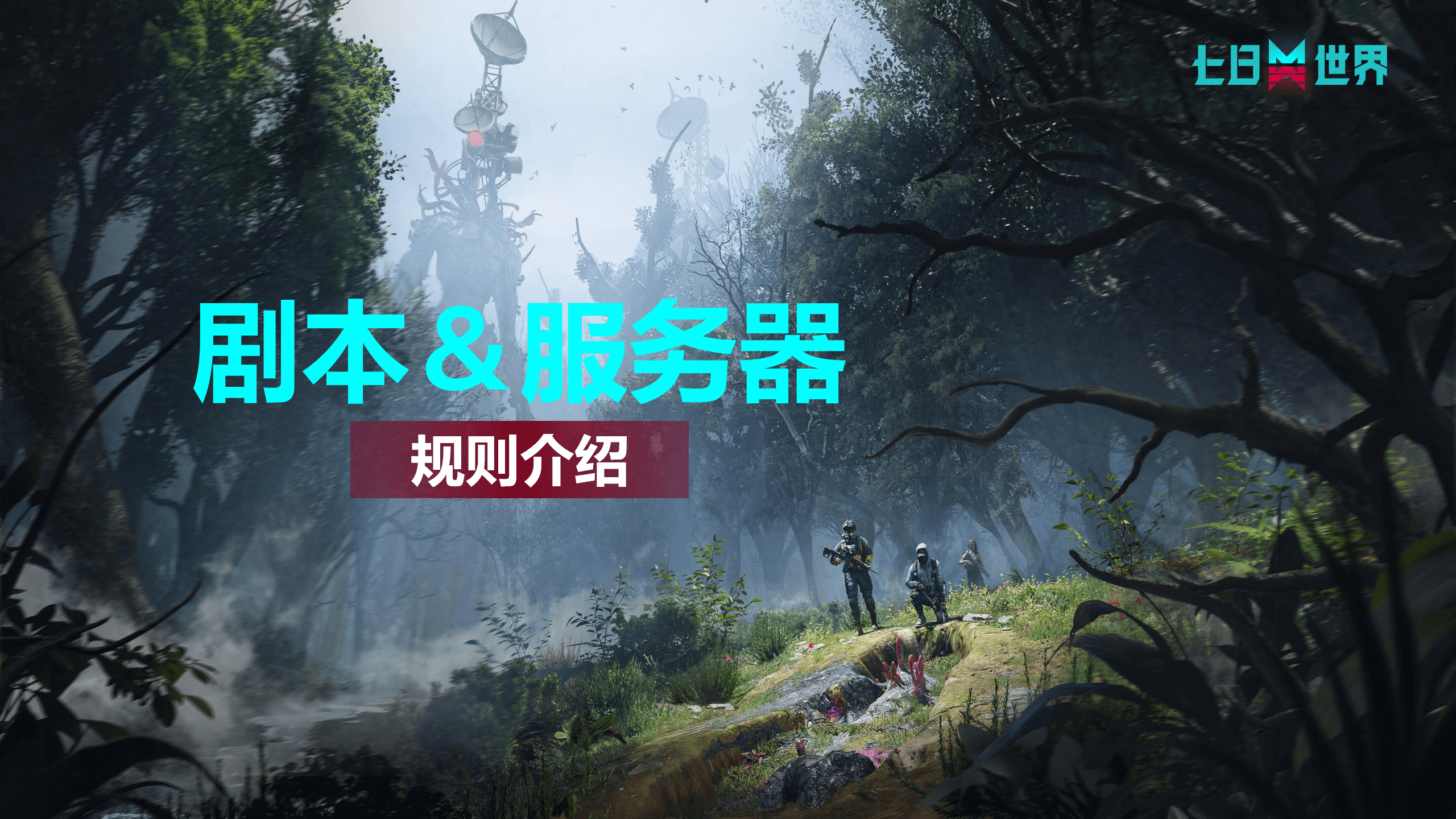 剧本与服务器-规则介绍