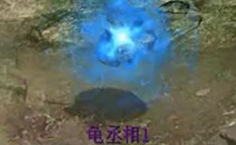 ��ֻ��ة��ڹ�Ͷ�����