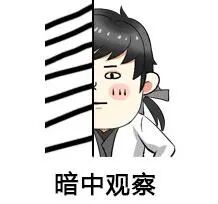 计划有变！这块石头背后的水太深了……